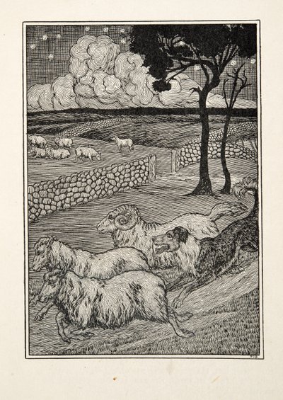 Un ladro di pecore canino, da A Hundred Anecdotes of Animals, pub. 1924 da Percy J. Billingshurst