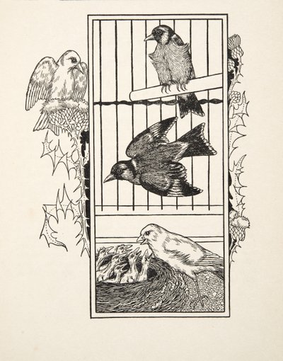 Un canarino caritatevole, da Cento aneddoti di animali, pub. 1924 da Percy J. Billingshurst
