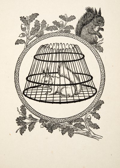 Uno scoiattolo rifugiato, da Cento aneddoti di animali, pub. 1924 da Percy J. Billingshurst