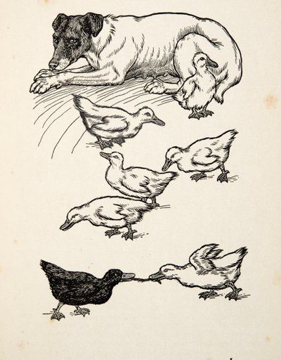 Una madre adottiva singolare, da Cento aneddoti di animali, pub. 1924 da Percy J. Billingshurst