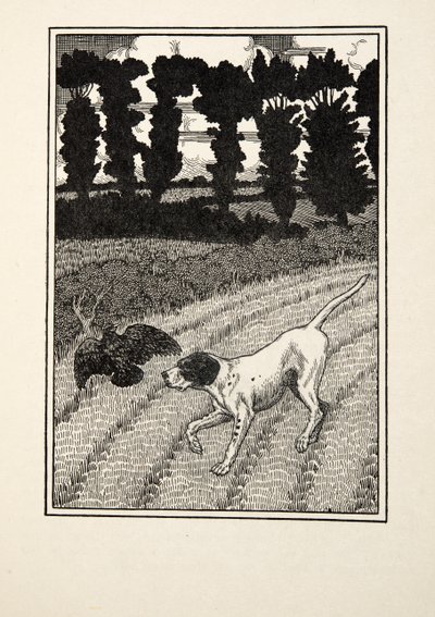 Ingannare il cacciatore, da Cento aneddoti di animali, pub. 1924 da Percy J. Billingshurst