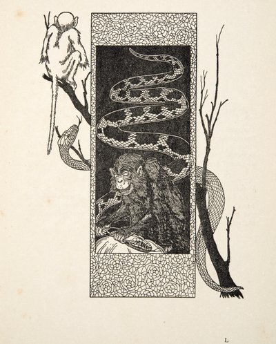 Scimmia contro serpente, da Cento aneddoti di animali, pub. 1924 da Percy J. Billingshurst
