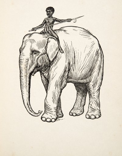 Rimorso, da A Hundred Anecdotes of Animals, pub. 1924 da Percy J. Billingshurst