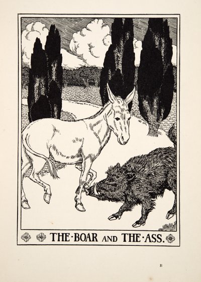 Il cinghiale e l