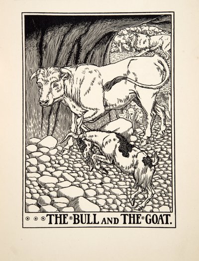 Il toro e la capra, da Cento favole di Esopo, pub.1903 da Percy J. Billingshurst