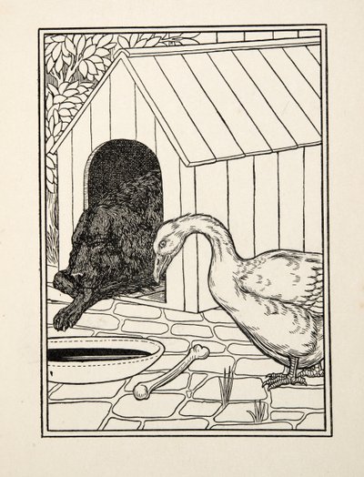 Il cane e l