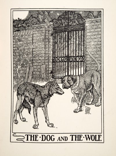 Il cane e il lupo, da Cento favole di Esopo, pub.1903 (incisione) da Percy J. Billingshurst