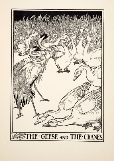 Le Oche e le Gru, da Cento Favole di Esopo, pub.1903 da Percy J. Billingshurst