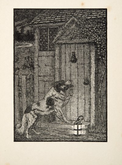 Il cane di Terranova, da A Hundred Anecdotes of Animals, pub. 1924 da Percy J. Billingshurst