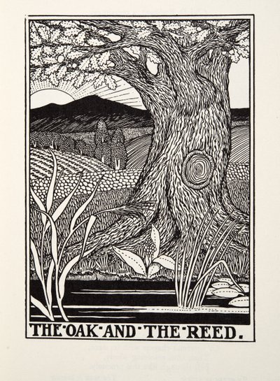 La quercia e la canna, dalle Favole di Fontaine da Percy J. Billingshurst