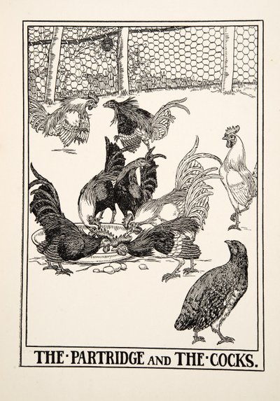 La Pernice e i Galli, da Cento Favole di Esopo, pub.1903 da Percy J. Billingshurst