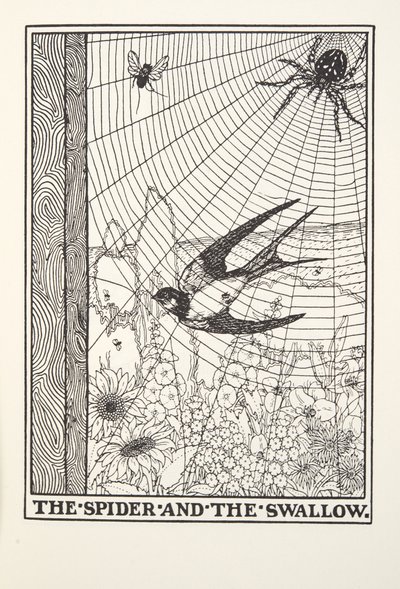 Il ragno e la rondine, da Fontaine Fables, pub. 1905 da Percy J. Billingshurst