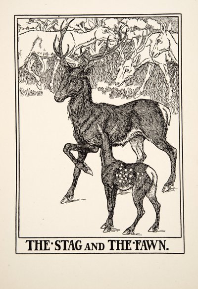 Il Cervo e il Cerbiatto, da Cento Favole di Esopo, pub.1903 da Percy J. Billingshurst