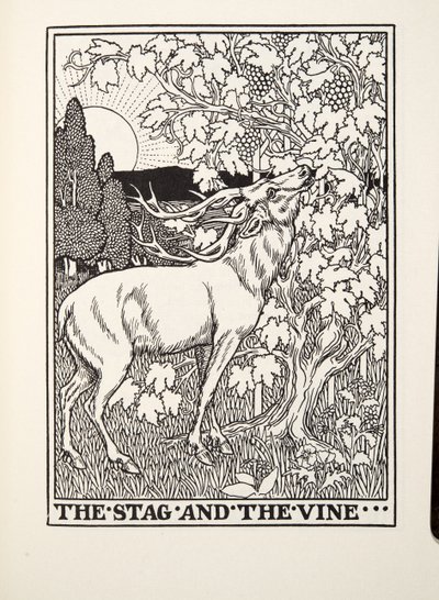 Il cervo e la vite, dalle Favole di Fontaine, pub. 1905 da Percy J. Billingshurst
