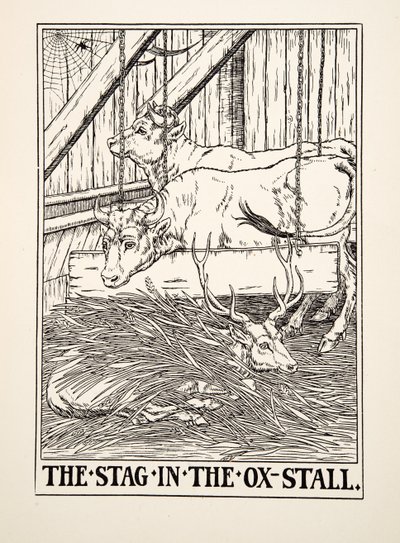 Il cervo nella stalla dei buoi, da Cento favole di Esopo, pub.1903 da Percy J. Billingshurst