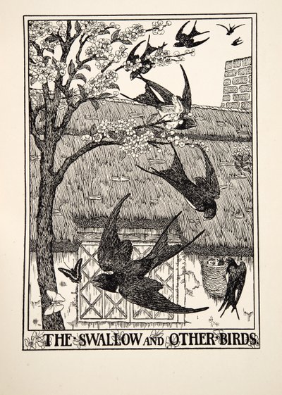 La rondine e altri uccelli, da Cento favole di Esopo, pub.1903 da Percy J. Billingshurst