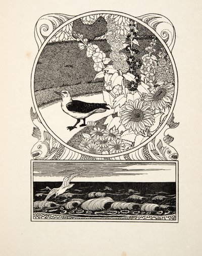 Il gabbiano addomesticato, da A Hundred Anecdotes of Animals, pub. 1924 (incisione) da Percy J. Billingshurst