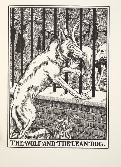 Il lupo e il cane magro, dalle Favole di Fontaine, pub. 1905 (incisione) da Percy J. Billingshurst