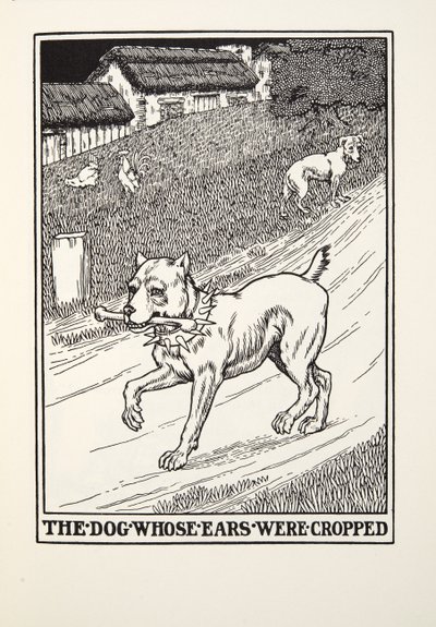Il cane con le orecchie tagliate, da Fontaine Fables, pub. 1905 da Percy J. Billingshurst