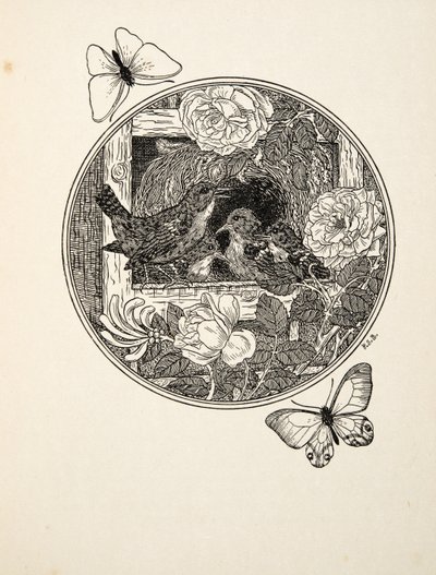 Scriccioli che imparano a cantare, da A Hundred Anecdotes of Animals, pub. 1924 da Percy J. Billingshurst