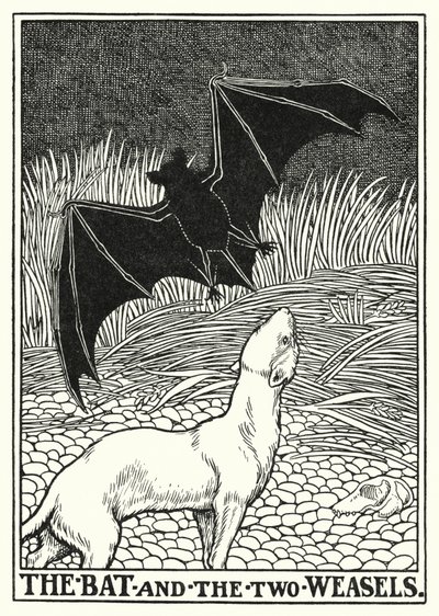 Favole di La Fontaine: Il pipistrello e le due donnole (litografia) da Percy James Billinghurst