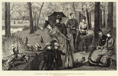 Nutrire i pavoni nei Kensington Gardens (incisione) da Percy Macquoid