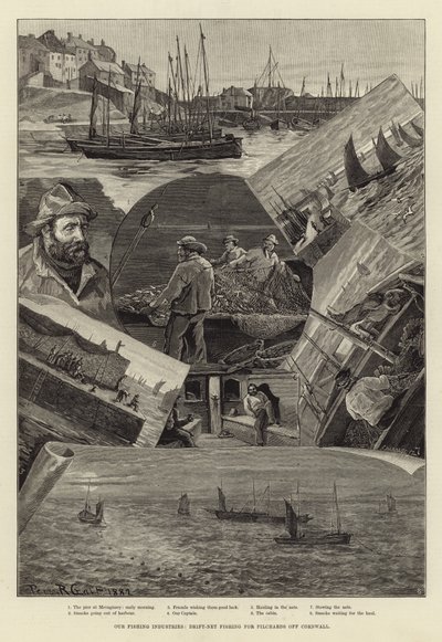 Le nostre industrie della pesca: pesca alla deriva per sardine al largo della Cornovaglia da Percy Robert Craft