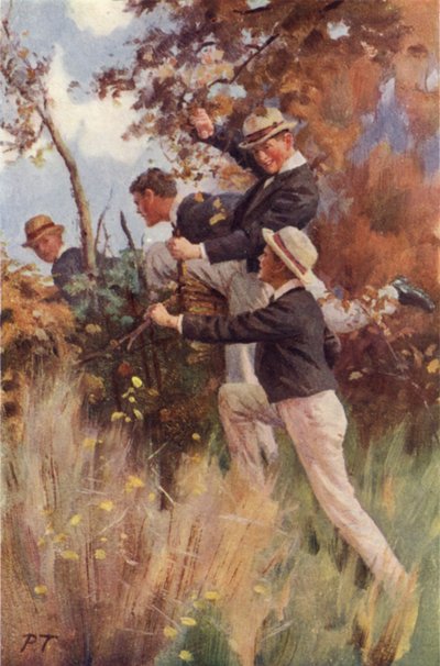 Oltre il primo recinto da Percy Tarrant