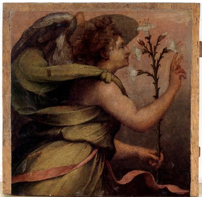 Angelo dell