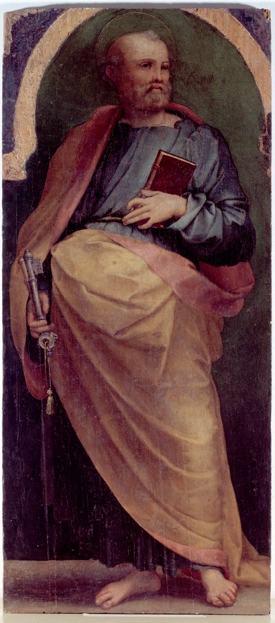 San Pietro, Pannello laterale da Perino del Vaga