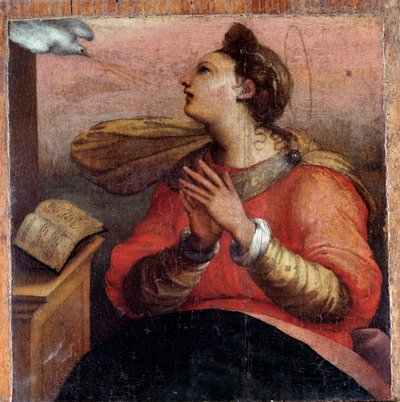 Vergine dell