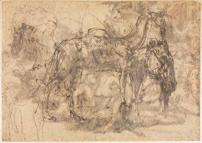 Schizzi di animali (verso) da Perino del Vaga