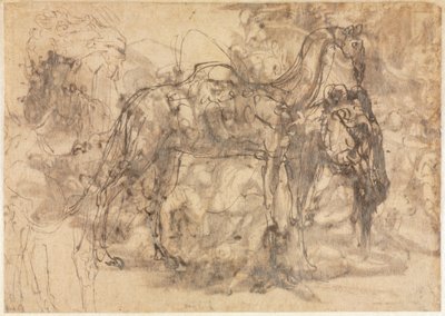 Schizzi di animali, verso, c. 1545-1547 da Perino del Vaga