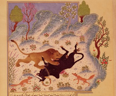 Un leone che attacca e uccide un toro, da un manoscritto di Kabila wa Dimna da Persian School