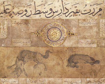 Un lupo maculato e una iena, fine XV secolo da Persian School