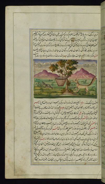 Una volpe e un tamburo da Luci di Canopo da Persian School