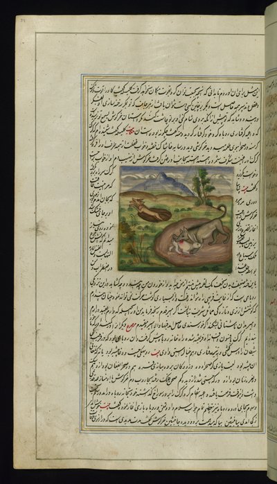 Uno sciacallo divora una lepre da Luci di Canopo, 1847 da Persian School