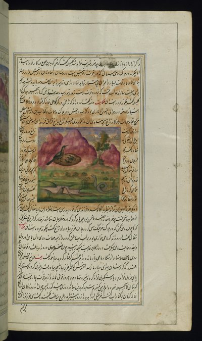 Un serpente e i pulcini di un corvo da Luci di Canopo da Persian School