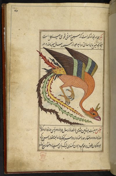 Il simurgh, un uccello del tuono iraniano, dalla 