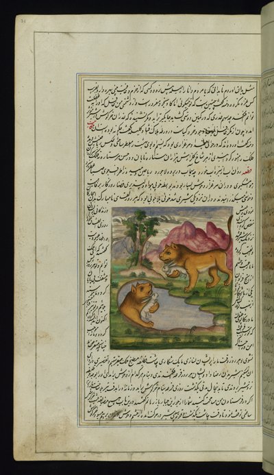 Un leone malvagio, ingannato da una lepre, guarda in un pozzo e vede il suo riflesso da Luci di Canopo da Persian School
