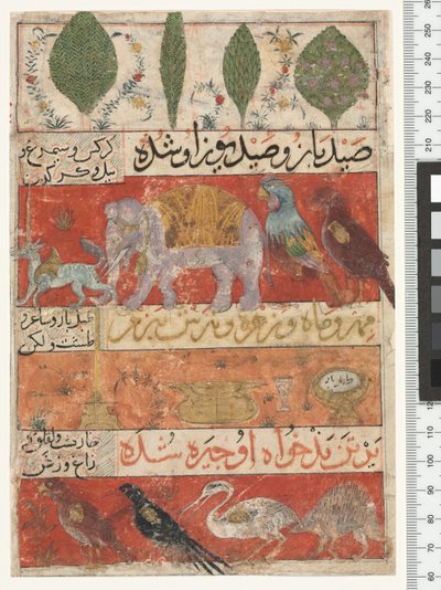 Animali, uccelli e piante, Periodo Ilkhanide, 1341 da Persian School