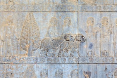 Bassorilievi alle pareti del palazzo Apadana e scala, Persepoli, Iran da Persian School