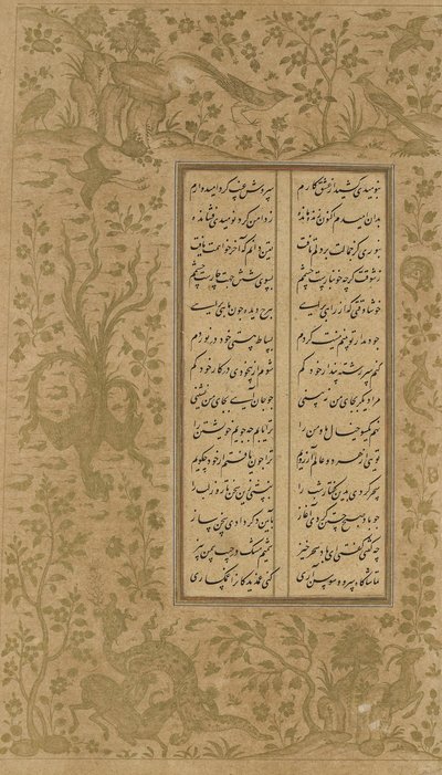 Disegno di vite e uccello, foglio da Yusuf u-Zulaikha di Jami (m. 1492) Qazvin, Iran, dinastia Safavide, 1557 da Persian School