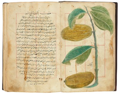 Hassan Bin Baqir Bin Jarrah: Gulzar Al-Rayahin, Qajar Iran da Persian School