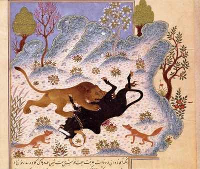 Leone che attacca un toro. Pagina di un Kalila e Dimna da Persian School