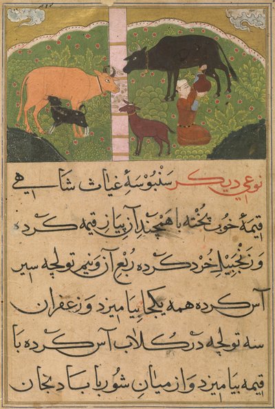 Mungitura, dal Ni