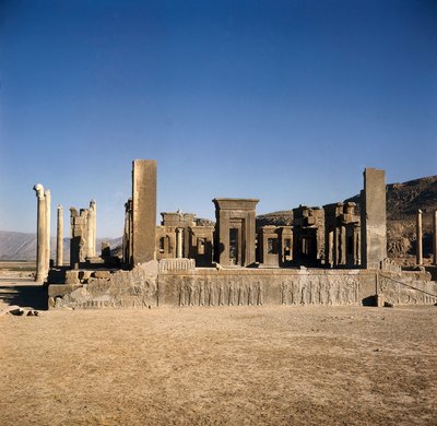 Palazzo di Dario I (550-486 a.C.) a Persepoli (Iran), Sito dell