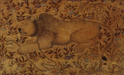 Studio di un leone, XVI secolo da Persian School