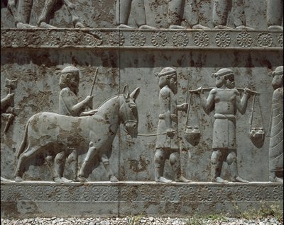 Popoli sottomessi portano doni a Dario I. Bassorilievi della scala orientale dell