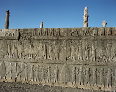 Popoli sottomessi offrono doni a Dario I. Rilievi della scala orientale dell